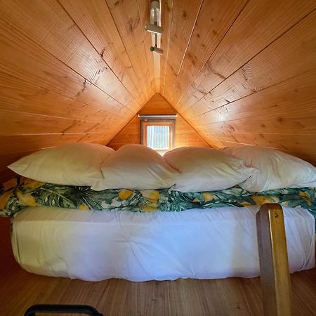 Studio Or Cabin On Whitby Nelson Ngoại thất bức ảnh