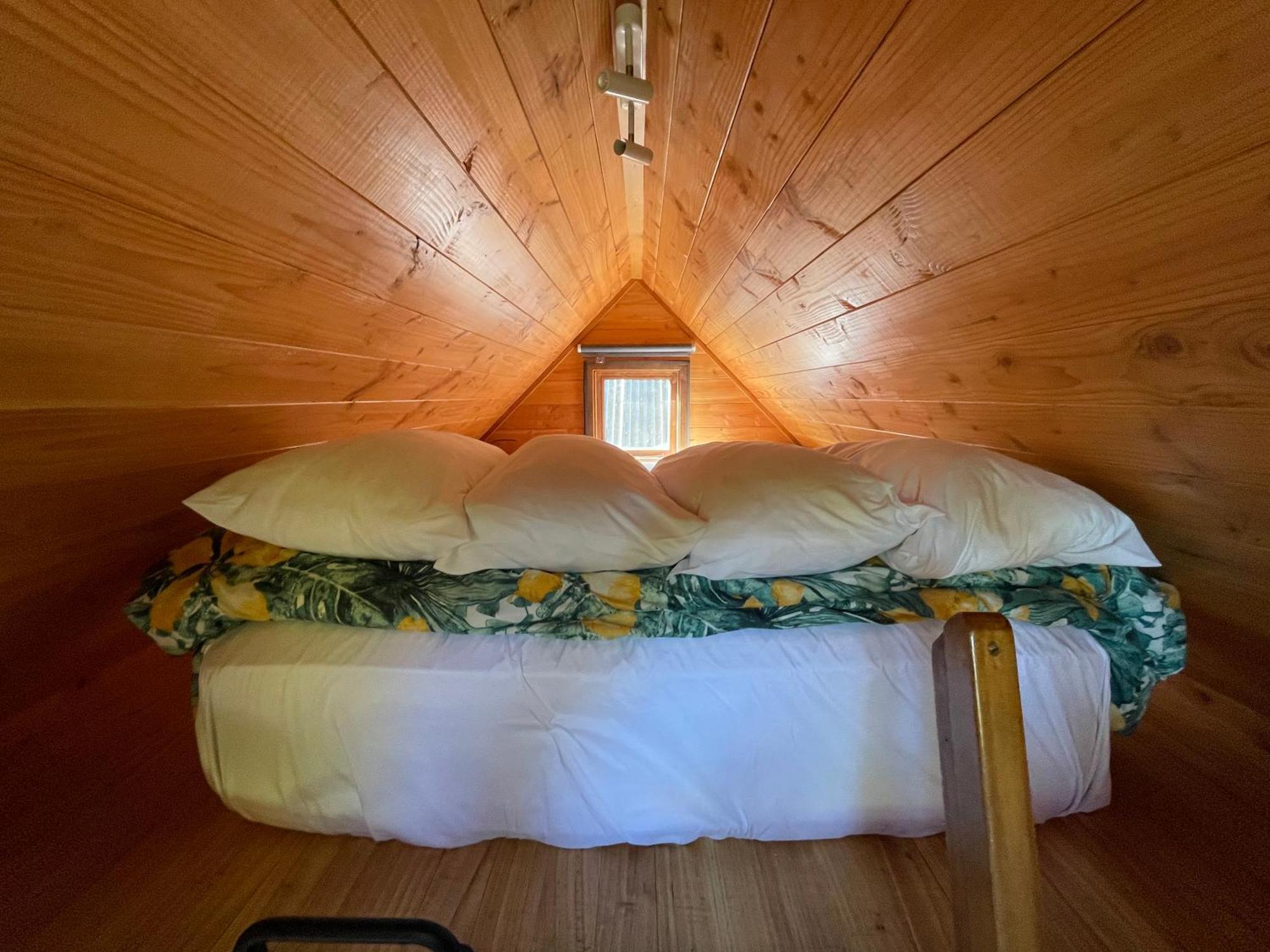 Studio Or Cabin On Whitby Nelson Ngoại thất bức ảnh